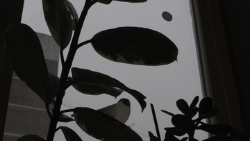 Видеокамера Canon XC10