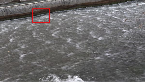 Видеокамера Canon XF405