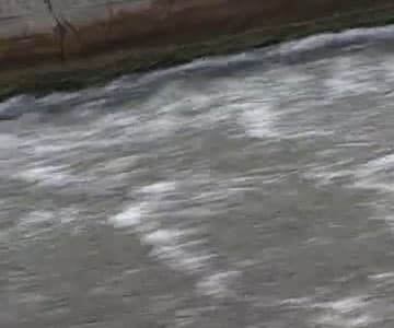 Видеокамера Canon XF405