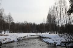 Видеосъемка фотоаппаратом. Canon EOS 5D Mark IV