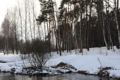 Видеосъемка фотоаппаратом. Canon EOS 5D Mark IV