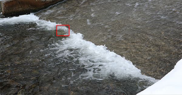 Видеосъемка фотоаппаратом. Canon EOS 5D Mark IV