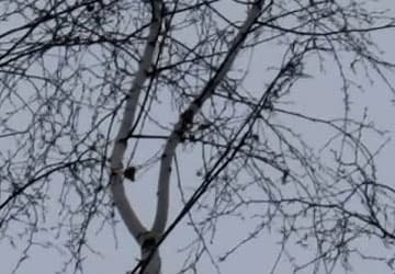 Видеосъемка фотоаппаратом Fujifilm X-T2