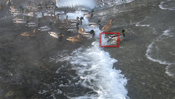 Видеосъемка фотоаппаратом Fujifilm X-T2