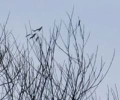 Видеосъемка фотоаппаратом. Fujifilm X-T2