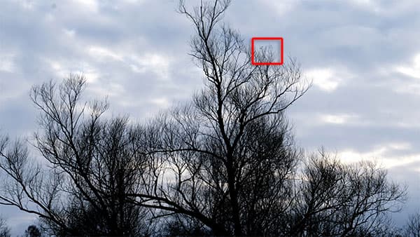 Видеосъемка фотоаппаратом Fujifilm X-T2