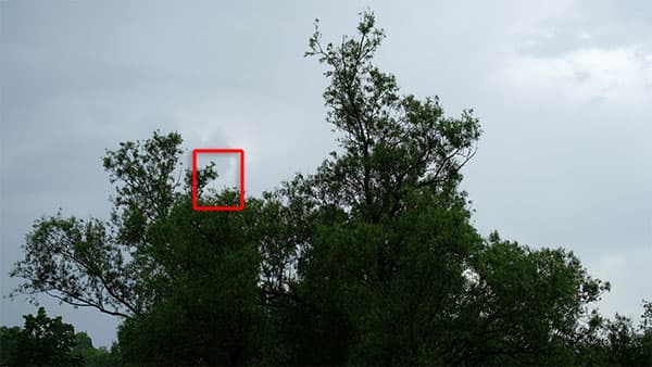 Видеосъемка фотоаппаратом. Fujifilm X-T20