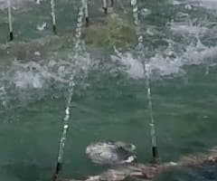 Экшн-камера GoPro Hero4 Session