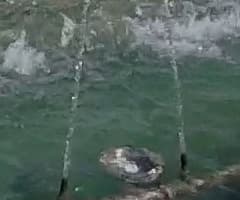 Экшн-камера GoPro Hero4 Session