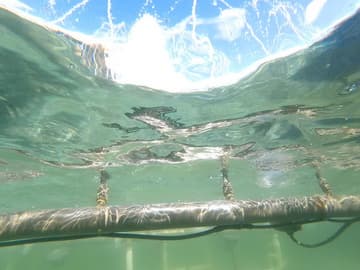 Экшн-камера GoPro Hero4 Session