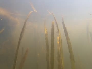 Экшн-камера GoPro Hero4 Session