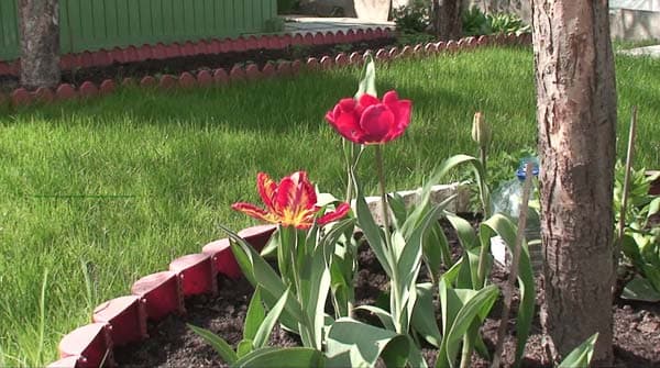 Посмотреть в полный размер, 280 КБ