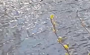 Видеосъемка смартфоном. HTC One M9 Plus