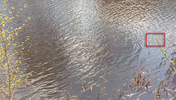 Видеосъемка смартфоном. HTC One M9 Plus