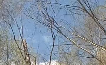 Видеосъемка смартфоном. HTC One M9 Plus