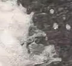 Видеосъемка смартфоном. HTC One M9 Plus