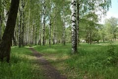 Видеосъемка фотоаппаратом Leica SL (Typ 601)