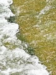 Видеосъемка фотоаппаратом Leica SL (Typ 601)