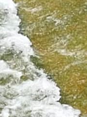 Видеосъемка фотоаппаратом Leica SL (Typ 601)