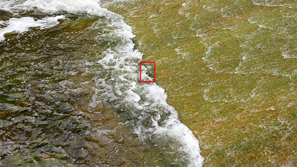 Видеосъемка фотоаппаратом Leica SL (Typ 601)