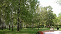 Видеосъемка фотоаппаратом Leica SL (Typ 601)