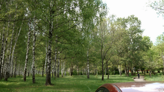 Видеосъемка фотоаппаратом Leica SL (Typ 601)