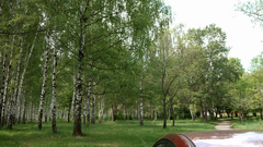 Видеосъемка фотоаппаратом Leica SL (Typ 601)