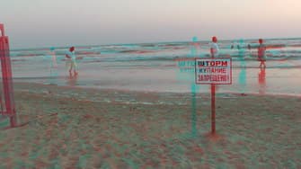 Movavi Video Converter 3D