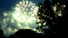 Видеосъемка фотоаппаратом Nikon D500