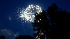 Видеосъемка фотоаппаратом Nikon D500