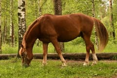 Видеосъемка фотоаппаратом Nikon D500