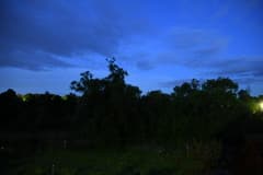 Видеосъемка фотоаппаратом Nikon D500