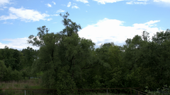 Видеосъемка фотоаппаратом Nikon D500