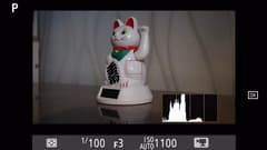 Видеосъемка фотоаппаратом Nikon D500