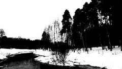 Видеосъемка фотоаппаратом Olympus OM-D E-M5 Mark II