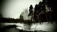 Видеосъемка фотоаппаратом Olympus OM-D E-M5 Mark II