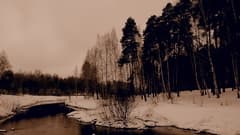 Видеосъемка фотоаппаратом Olympus OM-D E-M5 Mark II