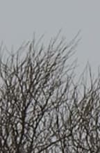 Видеосъемка фотоаппаратом Olympus OM-D E-M5 Mark II