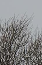 Видеосъемка фотоаппаратом Olympus OM-D E-M5 Mark II