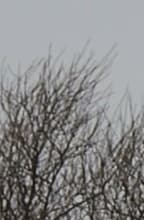 Видеосъемка фотоаппаратом Olympus OM-D E-M5 Mark II