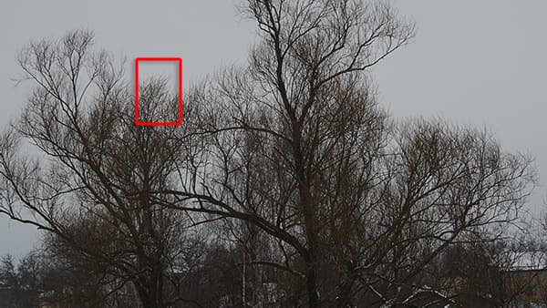 Видеосъемка фотоаппаратом Olympus OM-D E-M5 Mark II