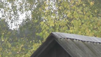 Видеокамера Panasonic AG-AC8