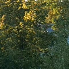 Видеосъемка фотоаппаратом Panasonic DMC-G7