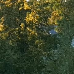 Видеосъемка фотоаппаратом Panasonic DMC-G7