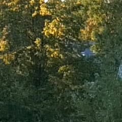 Видеосъемка фотоаппаратом Panasonic DMC-G7