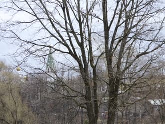 Видеосъемка фотоаппаратом Panasonic DMC-TZ70