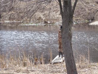 Видеосъемка фотоаппаратом Panasonic DMC-TZ70