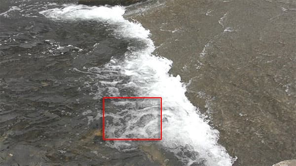 Видеокамера Panasonic HC-VXF990