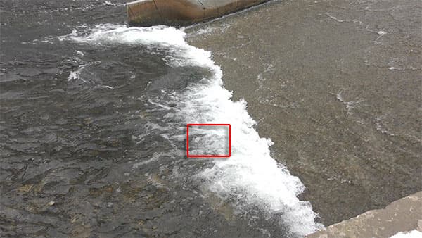 Видеокамера Panasonic HC-VXF990