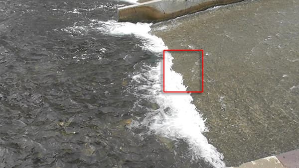 Видеокамера Panasonic HC-W580